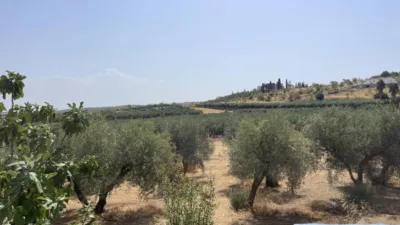 1 غرف نوم منزل في Moraleda de Zafayona, Spain رقم 281981