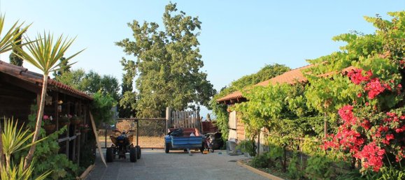 4 غرف نوم فيلا في Achaea, Greece رقم 7714 14