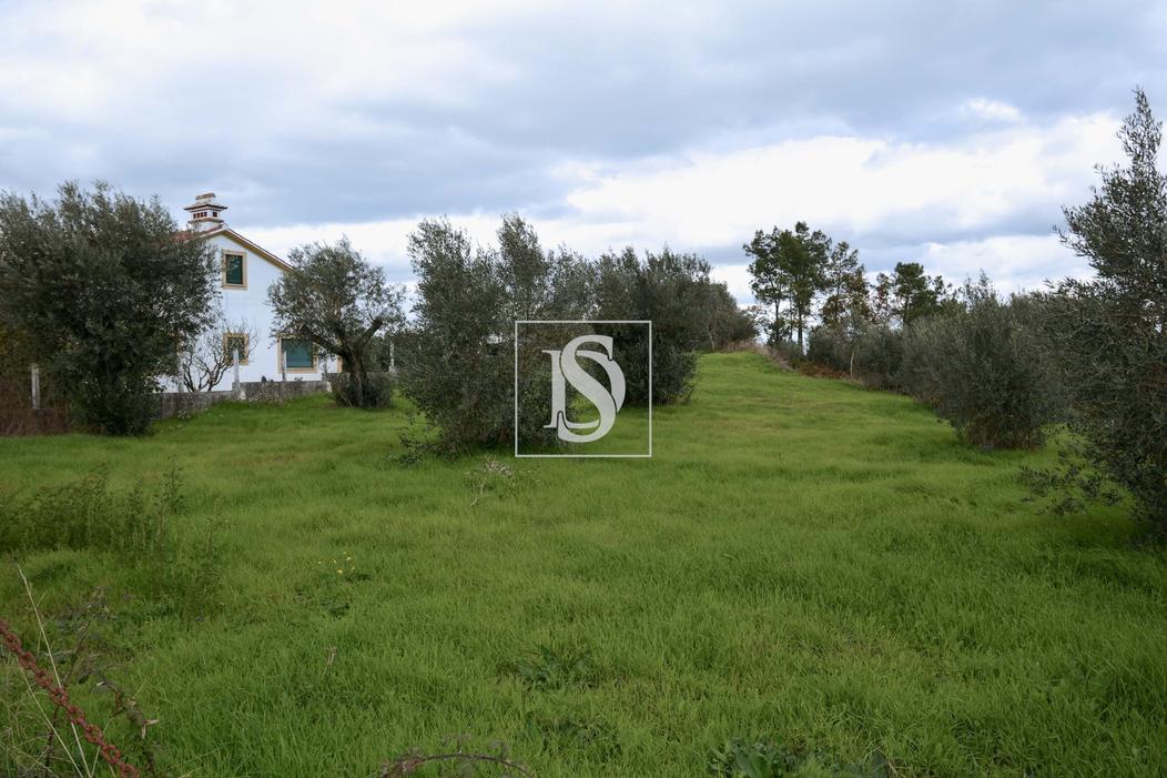 1840m² Land in Asseiceira, Portugal No. 347362
