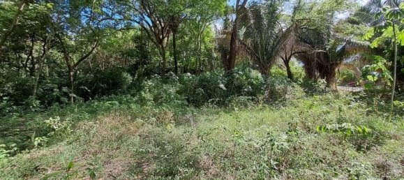 Terreno em Nicoya, Costa Rica N.º 1488 6