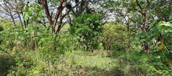 Terreno em Nicoya, Costa Rica N.º 1488 5