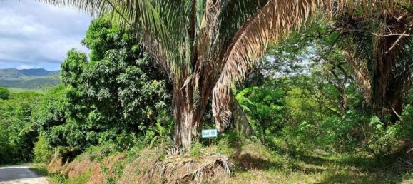 Terreno em Nicoya, Costa Rica N.º 1488 4