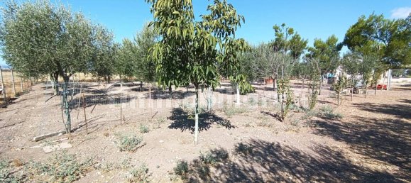 2 chambres Villa à Foggia, Italy No. 302314 22