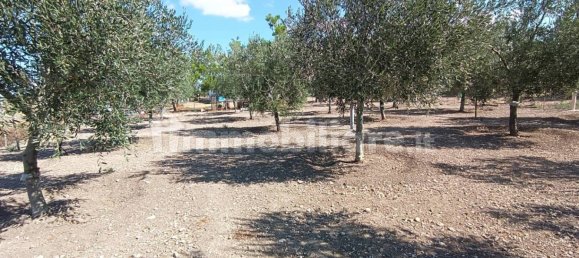 2 chambres Villa à Foggia, Italy No. 302314 23