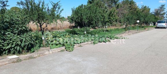 2 chambres Villa à Foggia, Italy No. 302314 20