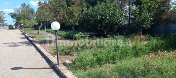 2 chambres Villa à Foggia, Italy No. 302314 18