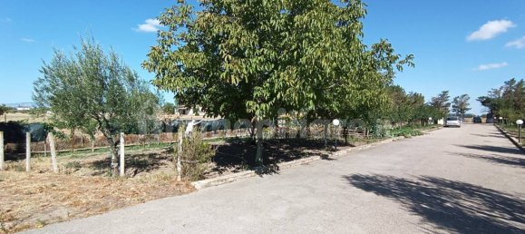 2 chambres Villa à Foggia, Italy No. 302314 19