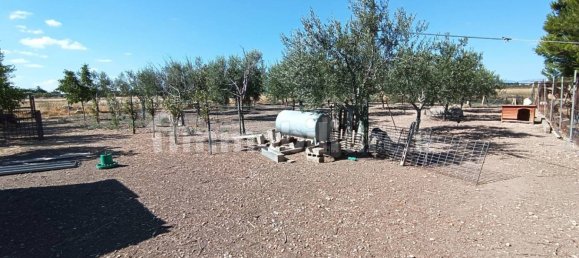 2 chambres Villa à Foggia, Italy No. 302314 21