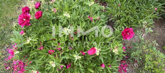 7 rooms House in Mistelbach, Austria No. 172433 12