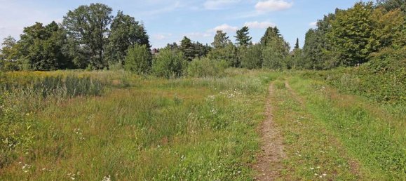 Земельный участок 7344м² в Меттман, Германия № 170001 3