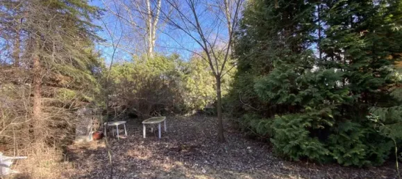 Terrain à Rosenthal, Germany No. 97127 6