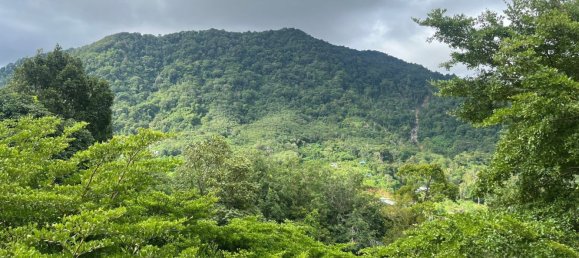 3 chambres Penthouse à Kathu, Thailand No. 64002 21