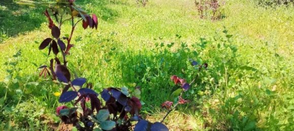 520m² Commercial property in Saronida, Greece No. 2896 27