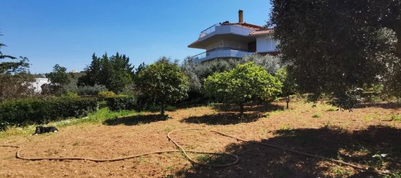 520m² Commercial property in Saronida, Greece No. 2896 6