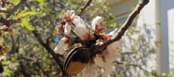 520m² Commercial property in Saronida, Greece No. 2896 8