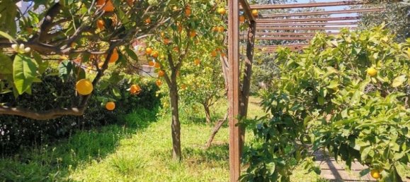 520m² Commercial property in Saronida, Greece No. 2896 23