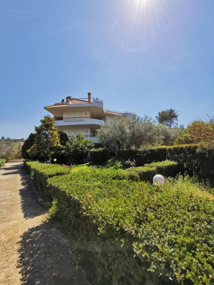 520m² Commercial property in Saronida, Greece No. 2896