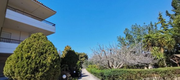 520m² Commercial property in Saronida, Greece No. 2896 7