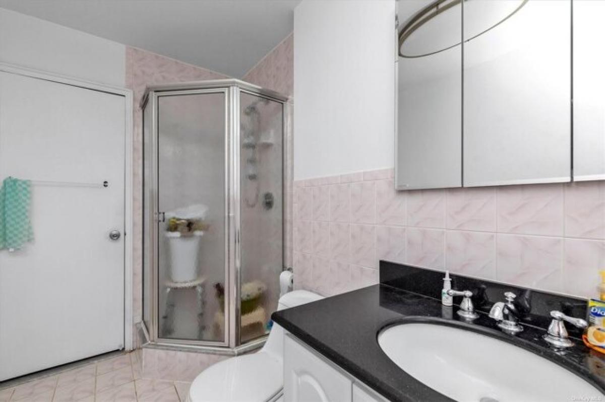 3 chambres Maison à Flushing, USA No. 255218