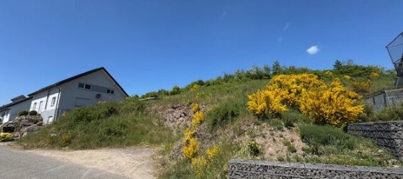  Land in Trier-Saarburg, Germany No. 232111 3