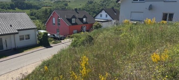  Land in Trier-Saarburg, Germany No. 232111 5