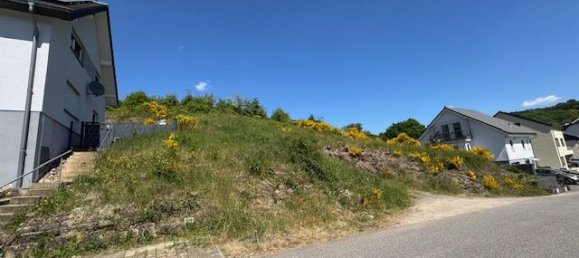  Land in Trier-Saarburg, Germany No. 232111 2