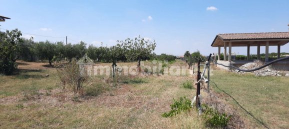 4100m² Land in San Cesareo, Italy No. 317448 5