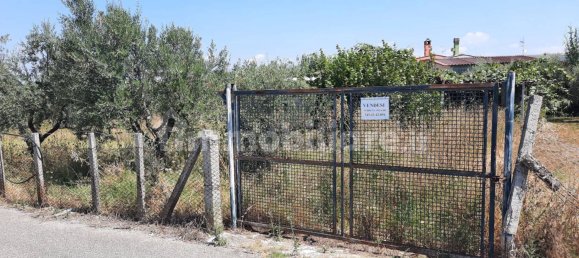 4100m² Land in San Cesareo, Italy No. 317448 2