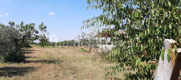 4100m² Land in San Cesareo, Italy No. 317448 4