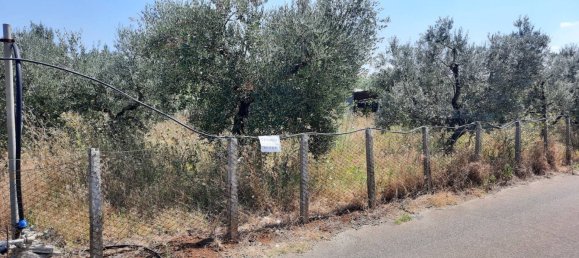 4100m² Land in San Cesareo, Italy No. 317448 3
