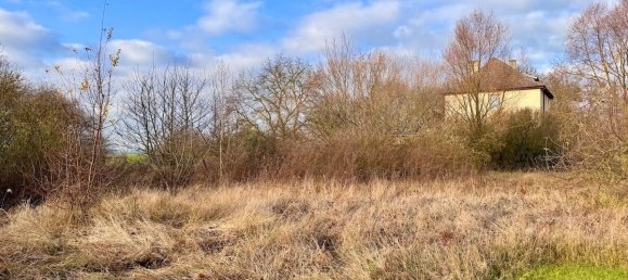  قطعة أرض في Vorpommern-Greifswald, Germany رقم 212417 2