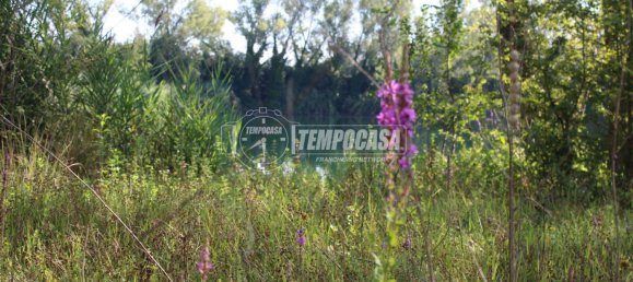 Casa T3 em Jesi, Italy N.º 327224 2