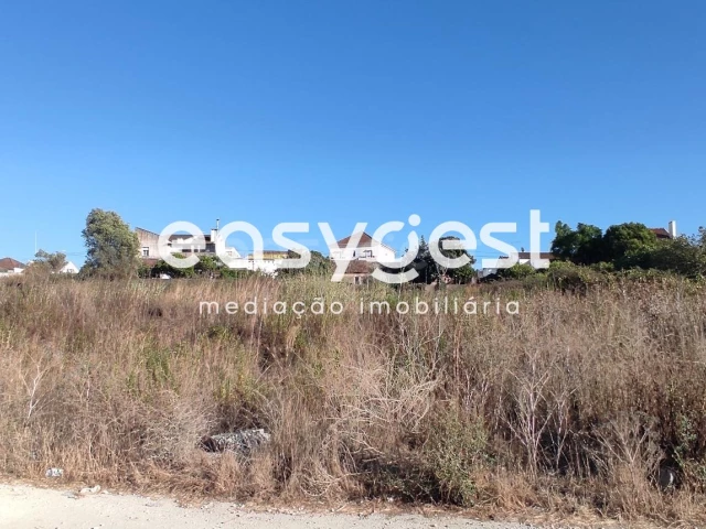 Terrain à Santarem, Portugal No. 68067