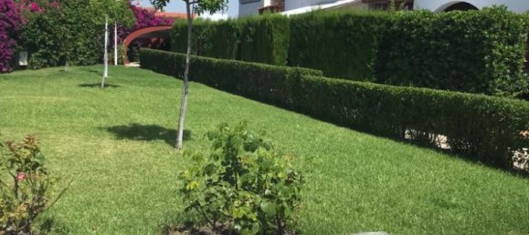 Bungalow de 3 dormitorios en Alicante, Spain No. 4528 6