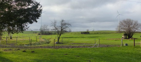 5 bedrooms Farm in Nordsachsen, Germany No. 160342 7