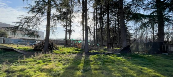 1390m² Land in Momo, Italy No. 153345 3