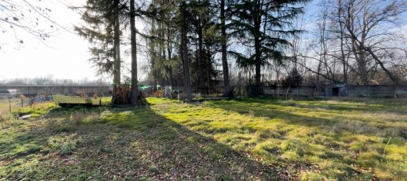 1390m² Land in Momo, Italy No. 153345 10