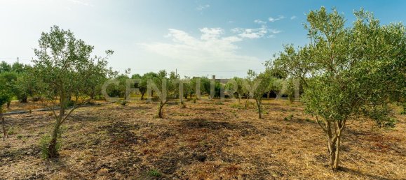 Дом с 4 спальнями в Джарратана, Италия № 326351 29