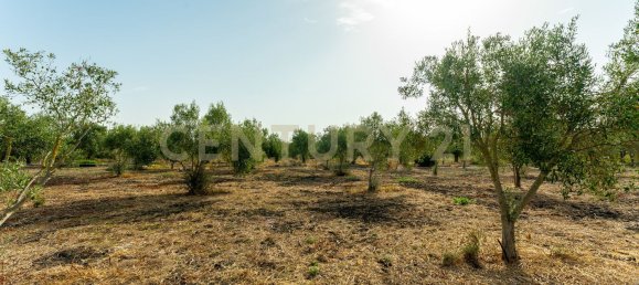 Дом с 4 спальнями в Джарратана, Италия № 326351 30