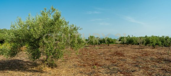 Дом с 4 спальнями в Джарратана, Италия № 326351 21