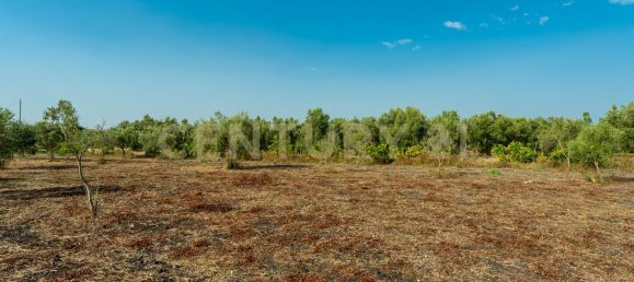 Дом с 4 спальнями в Джарратана, Италия № 326351 23