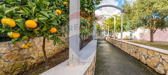 4 Schlafzimmer Haus in Odivelas, Portugal, Nr. 36925 43