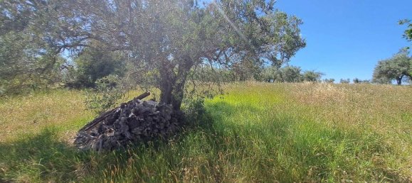 9 rooms House in Crecchio, Italy No. 28831 6