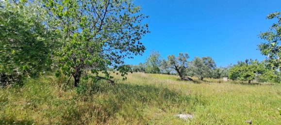 9 rooms House in Crecchio, Italy No. 28831 8