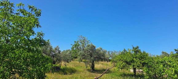 9 rooms House in Crecchio, Italy No. 28831 9