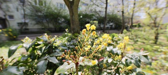 4-salle Appartement à Reinickendorf, Germany No. 357519 21