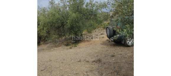 18000m² Land in Riogordo, Spain No. 144841 3