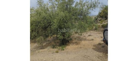 18000m² Land in Riogordo, Spain No. 144841 4