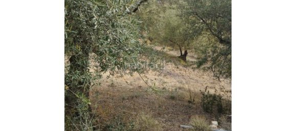 18000m² Land in Riogordo, Spain No. 144841 5