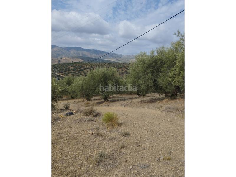 18000m² Land in Riogordo, Spain No. 144841